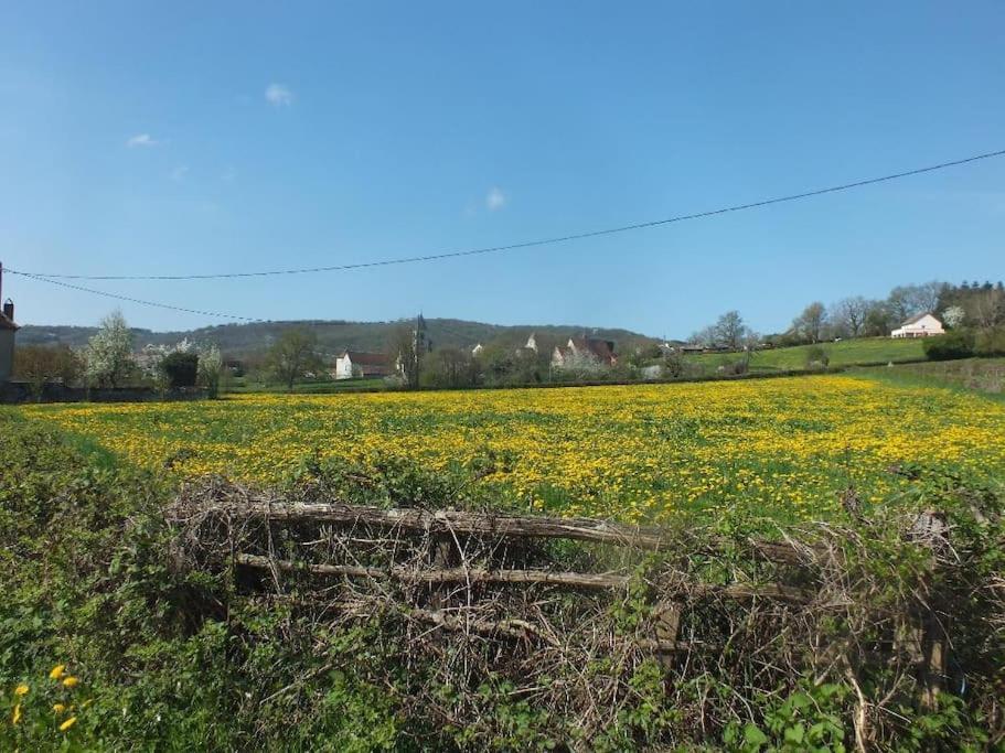 Collonges-en Charollais Gite Les Arcades מראה חיצוני תמונה